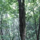 가리산길 이미지