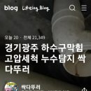추자길 이미지
