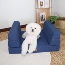 개과천선 이미지