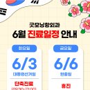 굿모닝항외과