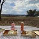 고카롱 | 캠린이 다은가족 두번째 캠