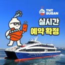 신이테크 | 대마도(쓰시마섬) 들어가는 방법 총정리(🚢🛳️⛴️, 씨플라워호 탑승 후기, 부산역에서 부산항 가는 방법)