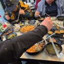 도리사로 이미지