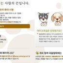 동물병원닥터스 이미지