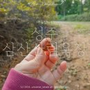 성주 비밀의숲같은 숨은 산책명소 삼산산림욕장 편의시설