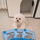 주식회사 펫푸드 | 양치를 싫어하는 우리 강아지, 씹으면서 케어하는 장어 수제간식 ‘튼튼보약 장어+츄’