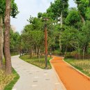 양재천로 이미지