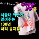 서울대의사가 알려주는 100년 허리 유지법 이미지