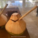 프라임빌라 | [숙박후기] 발리 스미냑 '발리 프라임 빌라' 후기,총평,장단점