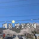 계룡산동학사노래연습장 | 2026 계룡산 동학사 벚꽃축제 실시간 후기 &amp; 주차 꿀팁 총정리!
