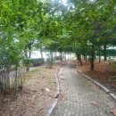 유앤아이부동산공인중개사사무소 이미지