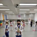 새일태권도 이미지