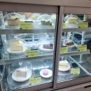 컴퓨터 주말/오피스 | [대구 동성로 카페] 동성로 골목 숨은 핫플 데이트 코스 디저트 맛집 '윌리스오피스' 솔직 후기
