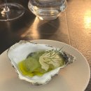 [강남/논현] 와알못의 맛집 탐험🍷 데이트, 기념일에 가기 좋은 논현 맛집 와인바 오디(ODDY) 내돈내산 후기