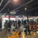 팀스파르타짐 이미지