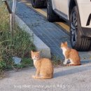 소야리 버스정류장 이미지