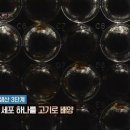 미래클린 - 북구 | 미래클린