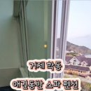 어린왕자스파애견펜션 이미지