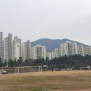 니드모얼