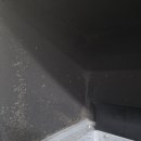 금암피순대 이미지