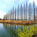 평화마을 이미지