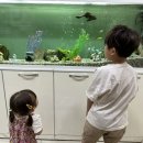 삼성연합소아청소년과의원 네이버블로그