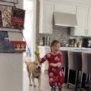 오수농장 이미지