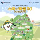 꽃양귀비마을 이미지