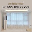 부산서면동문굿모닝힐 | 부산 부암동 서면동문굿모닝힐 비침없는 쉬폰커튼 도톰한쉬폰커튼 생활암막커튼 암막블라인드