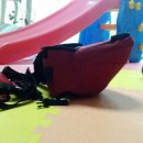 오리궁뎅이 이미지