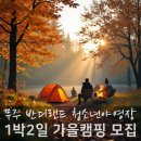 키다리 태권도 | 무주 반디랜드 야영장 1박2일 가을산 단풍캠핑 모집