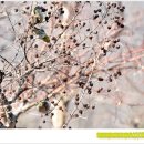 아름다운 머리방 이미지