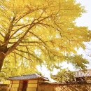 보령센터-031 이미지