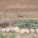 앞뜰농장 이미지