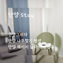 데이지 닮다 이미지