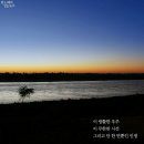 스타피쉬