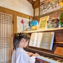 토토로하우스 | 전북여행 가볼만한곳 토토로가 튀어나올 것 같은 김제카페 미즈노씨네 트리하우스