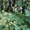 지산농기계 이미지