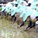 학산초등학교 이미지