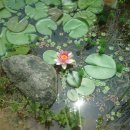 용우초등학교 이미지