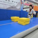 한울타리태권도장 이미지