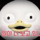 뚱자네