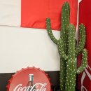 리얼타운비즈니스 타코 | 타코 맛집: 레드리본 맛집, 리얼타운 비즈니스 타코