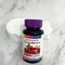 4561 | [홀리데이즈] 방광 건강 관리용 영양제 “홀리데이즈 크렌베리 타블렛” 솔직후기