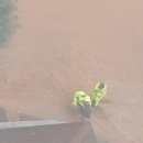 [태풍 카눈]경찰관 2명이 근무중 급류 휩쓸린 60대 여성 구조 이미지