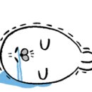 그레이스폴스튜디오 네이버블로그