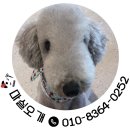 소담교차로 이미지