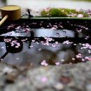 윤*보