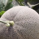 다성농장 이미지