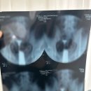 세명영상의학과의원 이미지